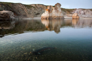 http://upforme.ru/uploads/001b/09/4d/2/t691330.jpg