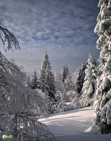 http://upforme.ru/uploads/001b/09/4d/2/t700904.jpg