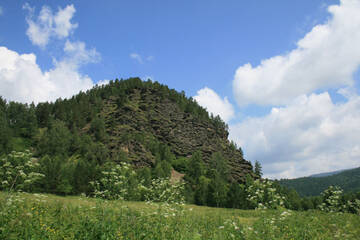 http://upforme.ru/uploads/001b/09/4d/2/t70149.jpg