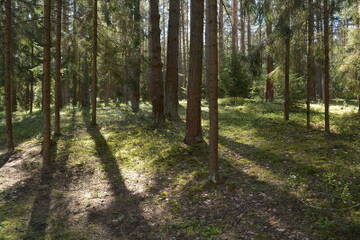 http://upforme.ru/uploads/001b/09/4d/2/t713142.jpg