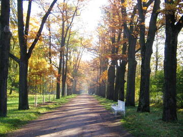 http://upforme.ru/uploads/001b/09/4d/2/t753770.jpg