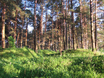http://upforme.ru/uploads/001b/09/4d/2/t810782.jpg