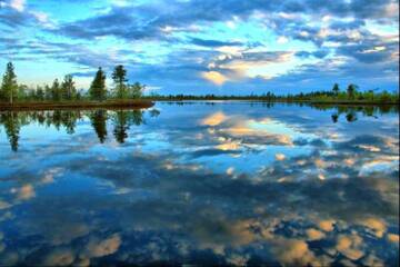 http://upforme.ru/uploads/001b/09/4d/2/t817709.jpg