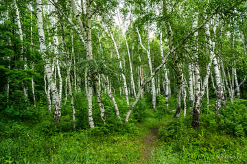 http://upforme.ru/uploads/001b/09/4d/2/t839131.jpg