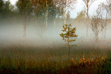 http://upforme.ru/uploads/001b/09/4d/2/t855095.jpg