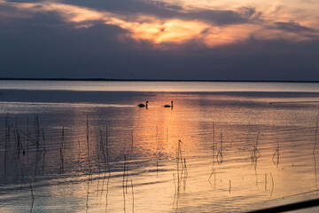http://upforme.ru/uploads/001b/09/4d/2/t856946.jpg