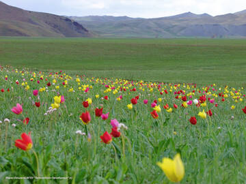 http://upforme.ru/uploads/001b/09/4d/2/t893552.jpg