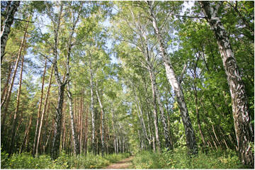 http://upforme.ru/uploads/001b/09/4d/2/t900915.jpg