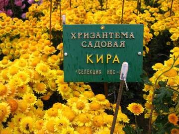http://upforme.ru/uploads/001b/09/4d/2/t976287.jpg