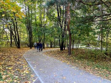 http://upforme.ru/uploads/001b/09/4d/2/t990563.jpg