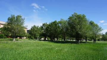 http://upforme.ru/uploads/001b/09/4d/4/t264746.jpg