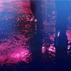 http://upforme.ru/uploads/001b/09/99/5/20864.gif
