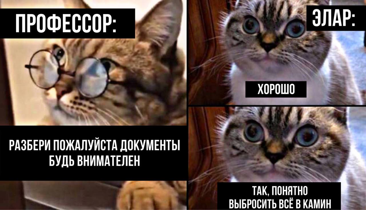 http://upforme.ru/uploads/001b/0a/fd/10/235038.jpg