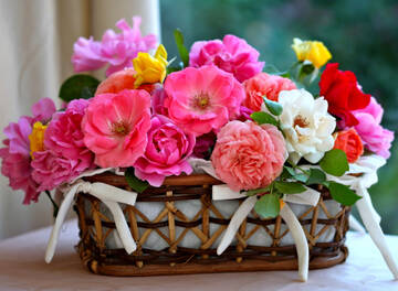 http://upforme.ru/uploads/001b/0b/72/3/t502501.jpg
