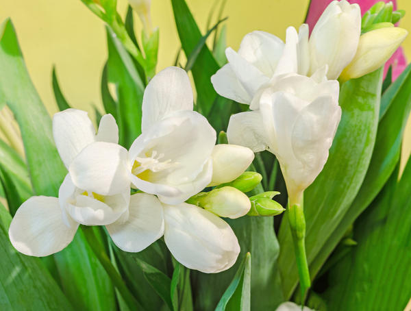 http://upforme.ru/uploads/001b/0b/72/4/t287103.jpg