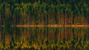 http://upforme.ru/uploads/001b/0c/57/2/t642394.jpg