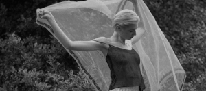 http://upforme.ru/uploads/001b/0c/9d/224/434112.gif