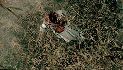 http://upforme.ru/uploads/001b/0d/4d/2/t752871.gif