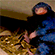 http://upforme.ru/uploads/001b/0d/69/13/t308561.gif