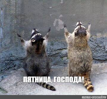 http://upforme.ru/uploads/001b/0d/69/13/t351293.jpg