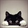 http://upforme.ru/uploads/001b/0d/69/13/t430378.gif