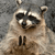 http://upforme.ru/uploads/001b/0d/69/13/t51453.gif