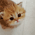 http://upforme.ru/uploads/001b/0d/69/13/t544817.gif