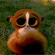 http://upforme.ru/uploads/001b/0d/69/13/t892334.gif