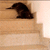 http://upforme.ru/uploads/001b/0d/69/13/t953455.gif