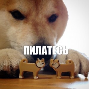 http://upforme.ru/uploads/001b/0f/75/26/653683.jpg