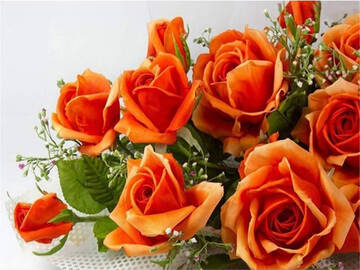 http://upforme.ru/uploads/001b/0f/8e/2/t311443.jpg