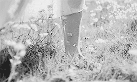 http://upforme.ru/uploads/001b/10/11/16/76367.gif
