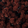 http://upforme.ru/uploads/001b/13/b6/169/607285.png