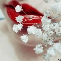 http://upforme.ru/uploads/001b/13/b6/83/188175.jpg