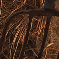 http://upforme.ru/uploads/001b/13/b6/83/373517.png