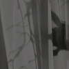 http://upforme.ru/uploads/001b/13/b6/83/507051.gif