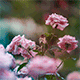 http://upforme.ru/uploads/001b/14/63/100/350704.gif