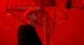 http://upforme.ru/uploads/001b/14/63/74/467955.gif