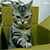 http://upforme.ru/uploads/001b/15/80/4/284586.gif