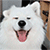 http://upforme.ru/uploads/001b/17/00/5/714435.gif