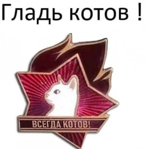http://upforme.ru/uploads/001b/17/05/12/t593620.jpg