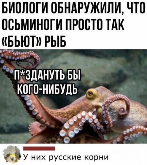 http://upforme.ru/uploads/001b/17/05/12/t667759.jpg