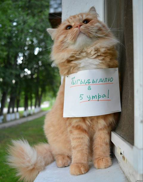 http://upforme.ru/uploads/001b/17/05/2/t14735.jpg