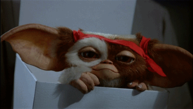 http://upforme.ru/uploads/001b/19/38/14/476210.gif