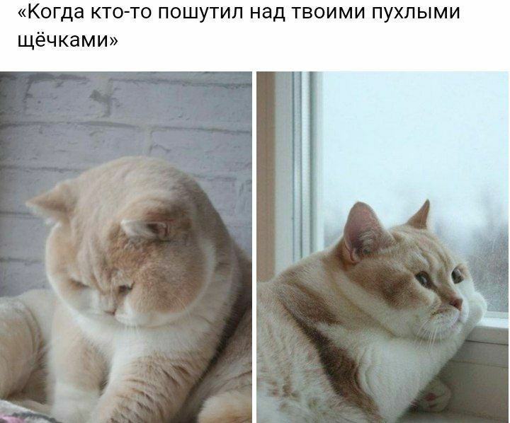 http://upforme.ru/uploads/001b/19/38/3/794226.jpg