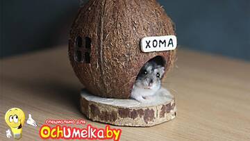 http://upforme.ru/uploads/001b/19/7e/2/t160587.jpg