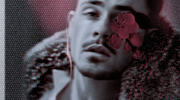 http://upforme.ru/uploads/001b/1a/6a/15/636022.png