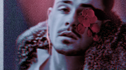 http://upforme.ru/uploads/001b/1a/6a/15/96641.png