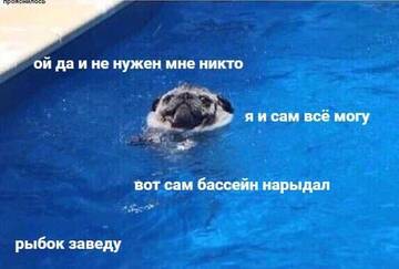http://upforme.ru/uploads/001b/1a/6a/28/t401079.jpg