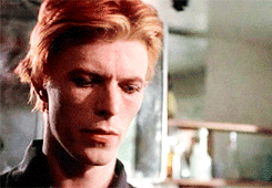 http://upforme.ru/uploads/001b/1e/21/10/t564600.gif